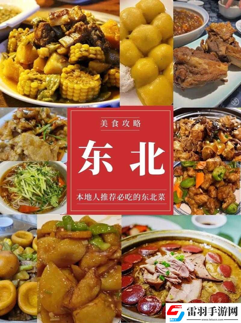 东北特色**相关内容及探讨