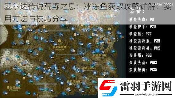 塞尔达传说荒野之息