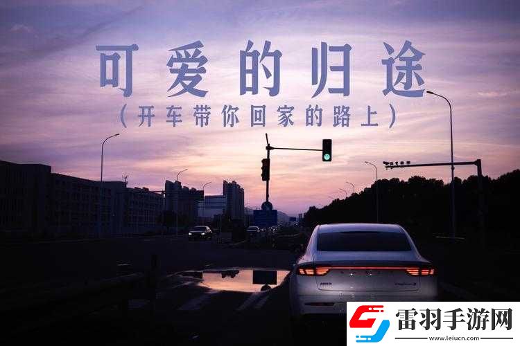 黑料网最新回家线路