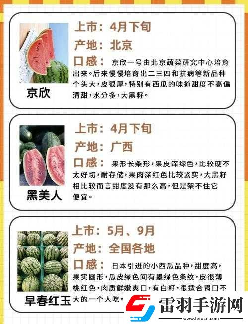 最强吃瓜指南