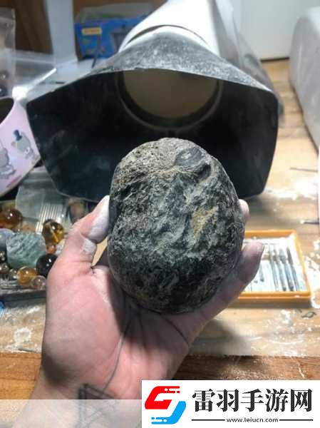 冰原守卫者