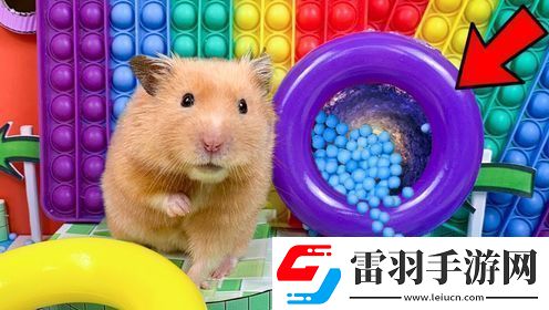 小仓鼠勇闯恐怖医院迷宫