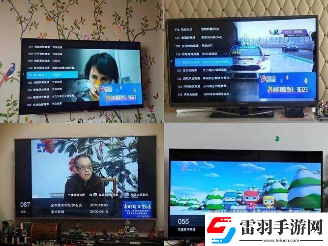 有线高清电视线sywv7
