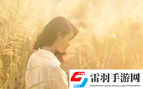 夜猫直播