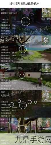 楚留香游戏地皮售卖全攻略时间与价格揭秘