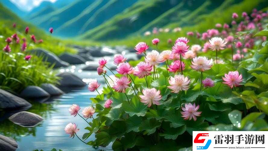 野花韩国视频在线观看免费高清