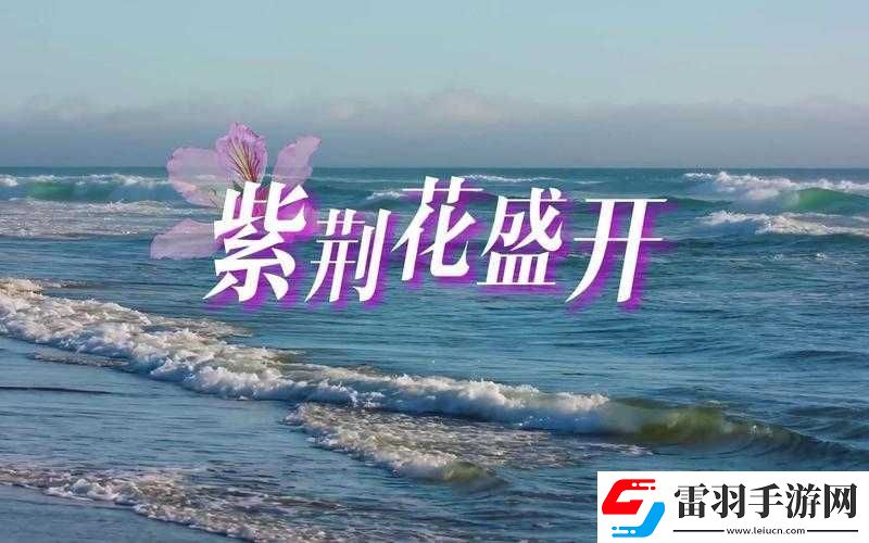 最近免费高清