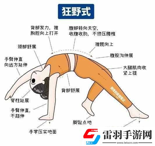 狂野式进入方法大盘点