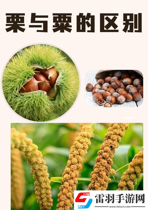 三指探洞和二指的区别