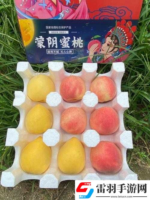 无人一区二区区别红桃内幕揭秘