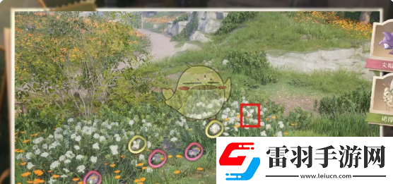 无限暖暖照片调查任务攻略大全无限暖暖照片调查任务如何完成的