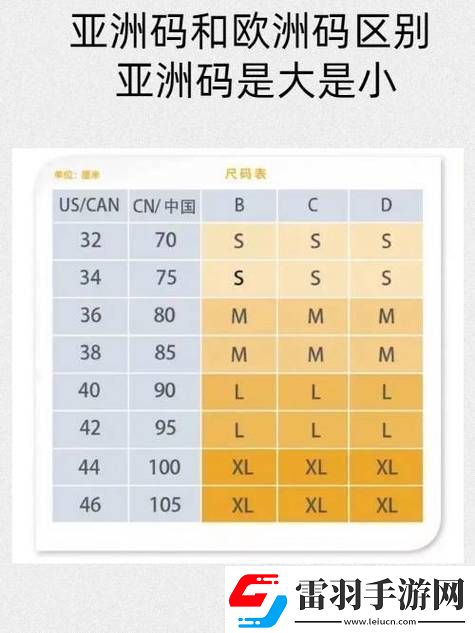 深入探讨亚洲尺码与欧洲尺码的区别