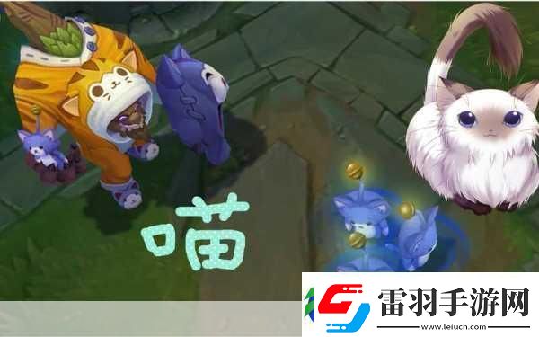 喵星人密室大冒险