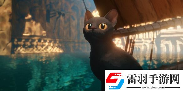 高分动画电影猫猫的奇幻漂流确认引进中国内地！