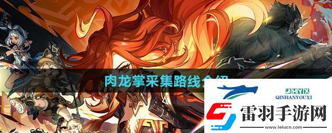 原神肉龙掌在哪采集