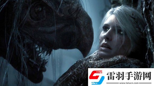 巫师4总监
