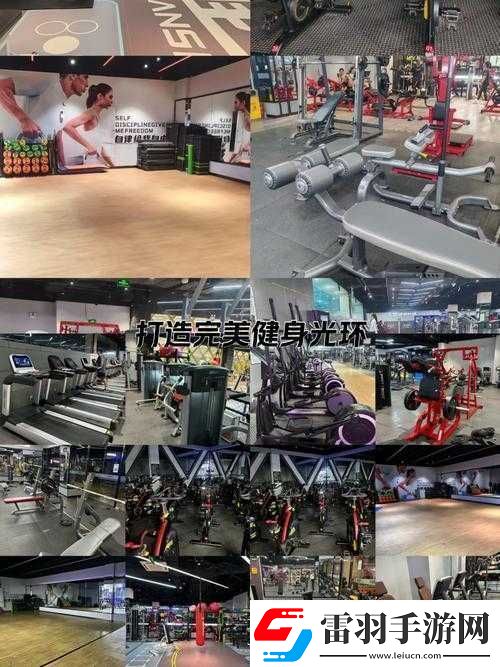 世界调制系统模式健身房