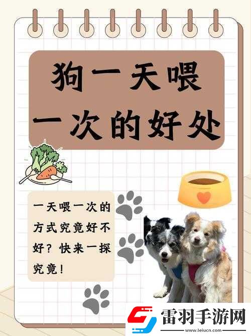 人狗胶配方大全狗狗一天