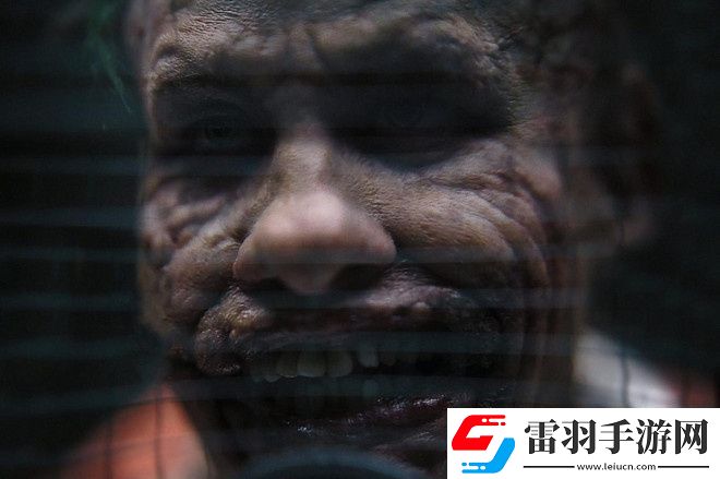 新蝙蝠侠2续企鹅人