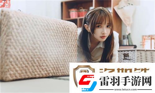 小毛驴影视在线观看