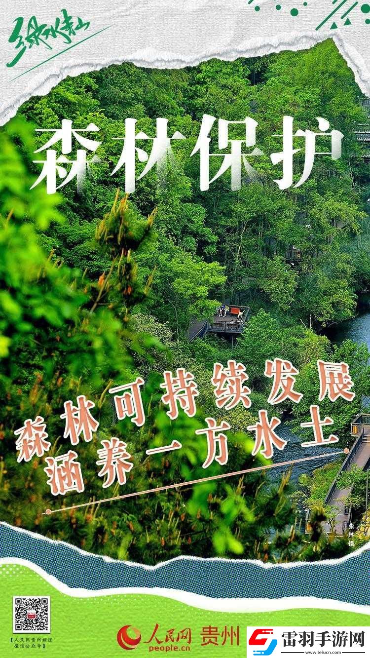 中国老年森林交易市场