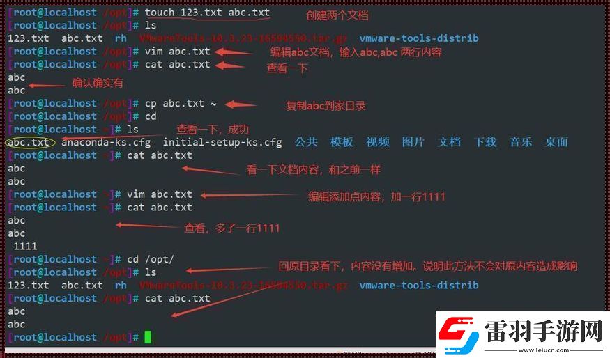 “备份
