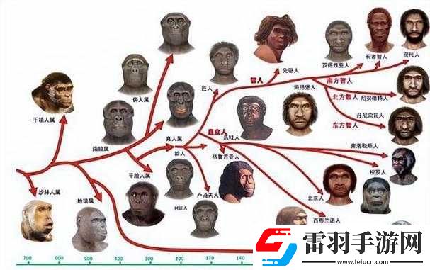 探索人马畜禽人