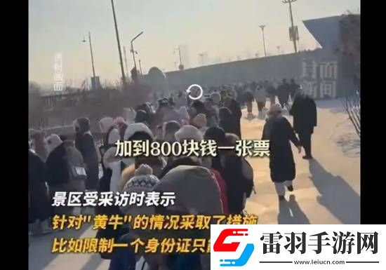 哈尔滨冰雪大世界开园3日遭吐槽排队9小时黄牛加价800元走免排
