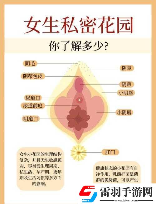 女人扒开腿秘