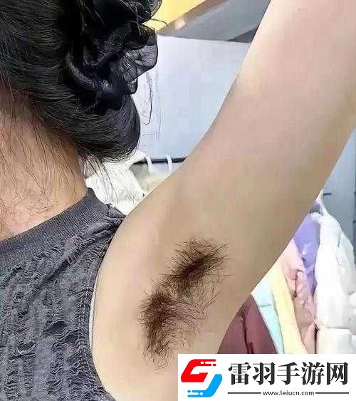 国产一区二区三区四区精华液毛的独特魅力与功效
