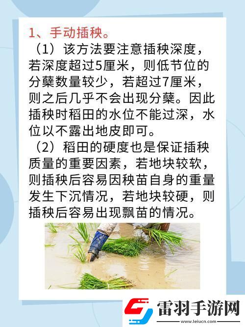夫妻插秧38种方法大全