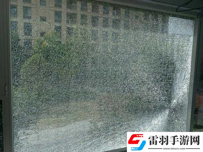 让人痛心的悲剧