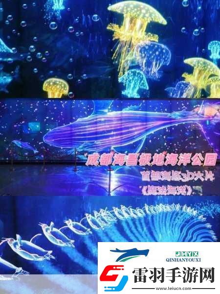 筏生存水肺潜水3D