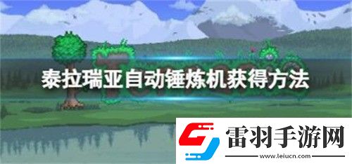 泰拉瑞亚自动锤炼机在哪获得