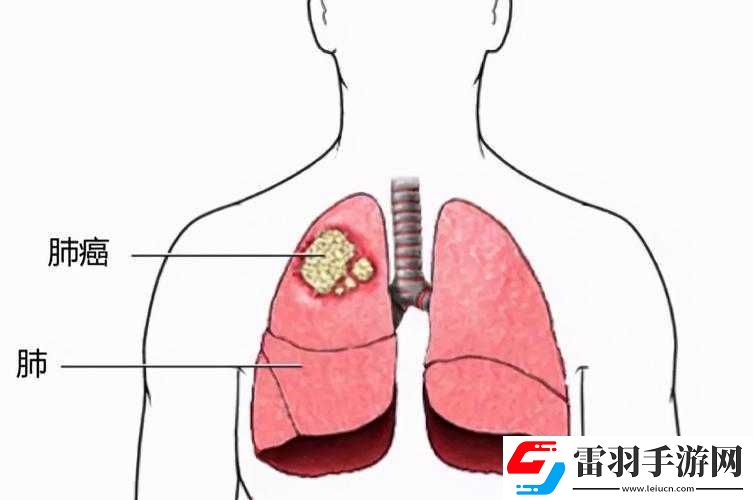 安慰剂未增减贝