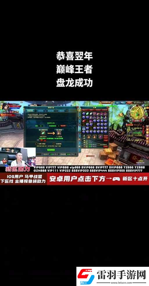 御龙在天手游深度解析