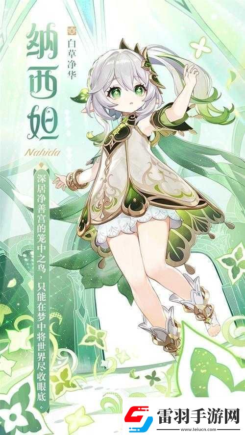 如何评价