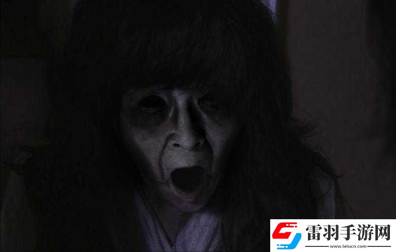 oldwoman一个充满故事的神秘老妇人