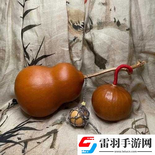 葫芦里不卖药千万你需要软件