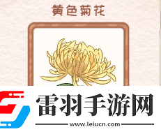 花店物语黄色菊花图鉴资料