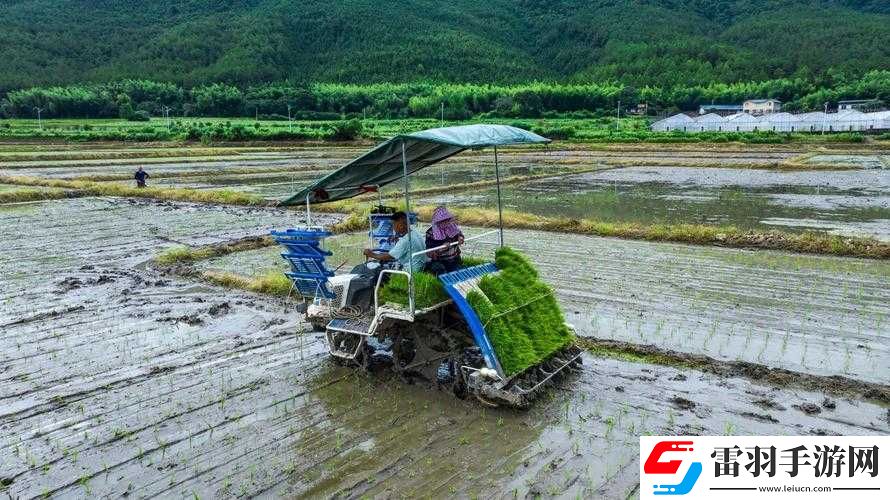 夫妻间