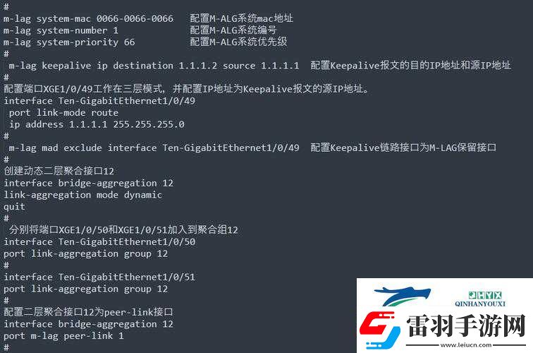 S给M的120条命令深度解读与全面分析