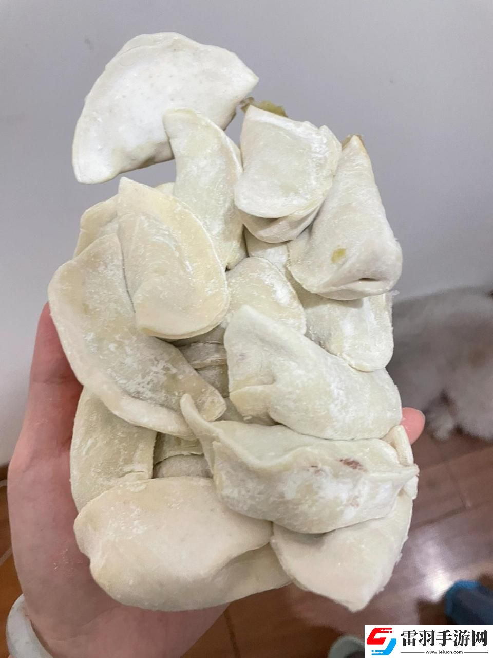 科技界的“厨神”挑战