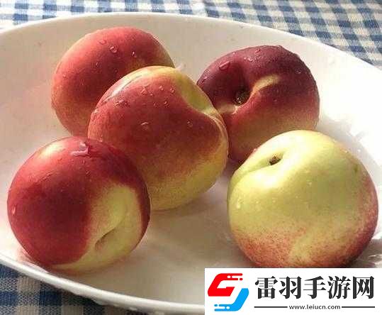 小东西为何这般会吃着实令人惊叹不已
