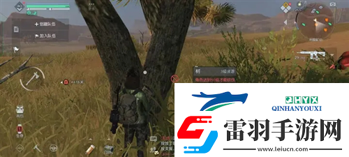 黎明觉醒杜松木怎么获取