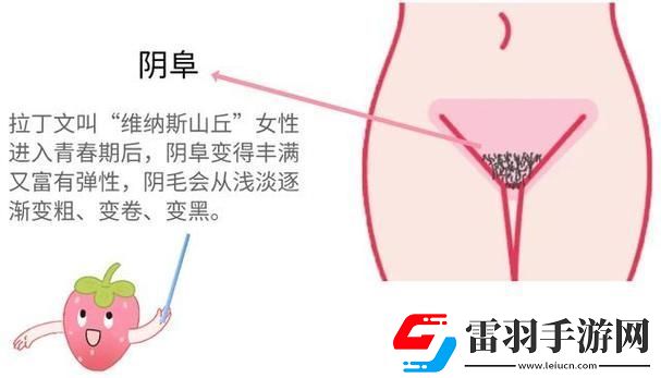大荫蒂BBBBBB大荫蒂