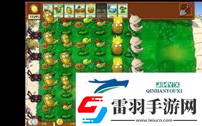 植物大战僵尸杂交版前院告急第3关攻略详解