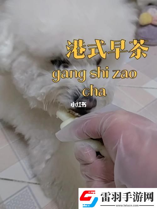 美国人与动物胶配方有几种读者