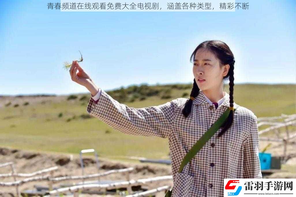 青春频道在线观看免费大全电视剧
