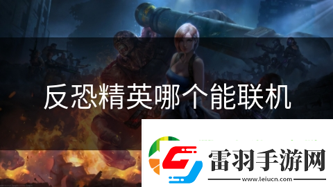 反恐精英哪个能联机